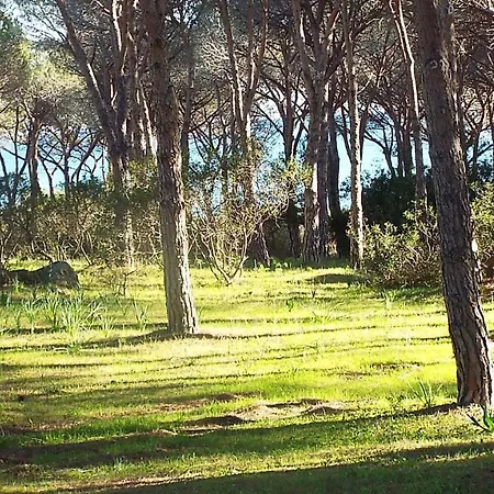 بيت ضيافة Camere Vicino Alla Spiaggia Budoniaffitti